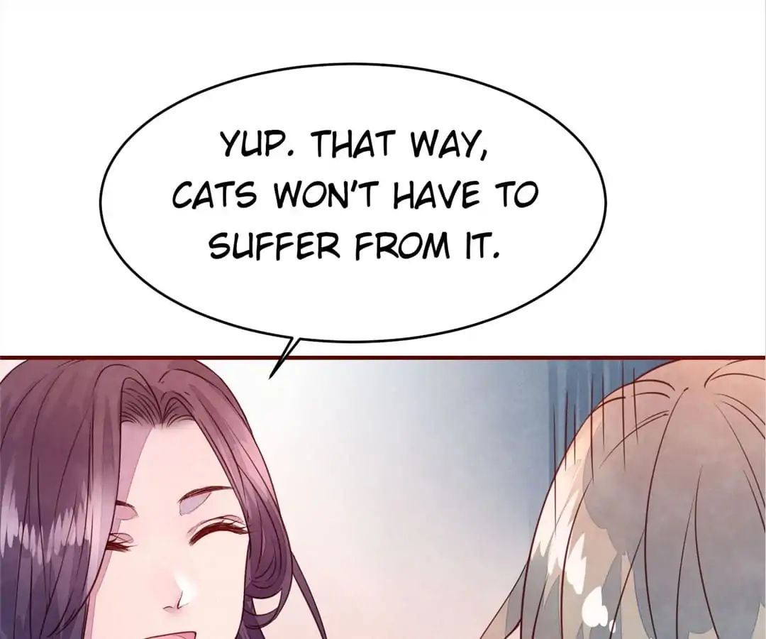 Page 17 of Chapter 33