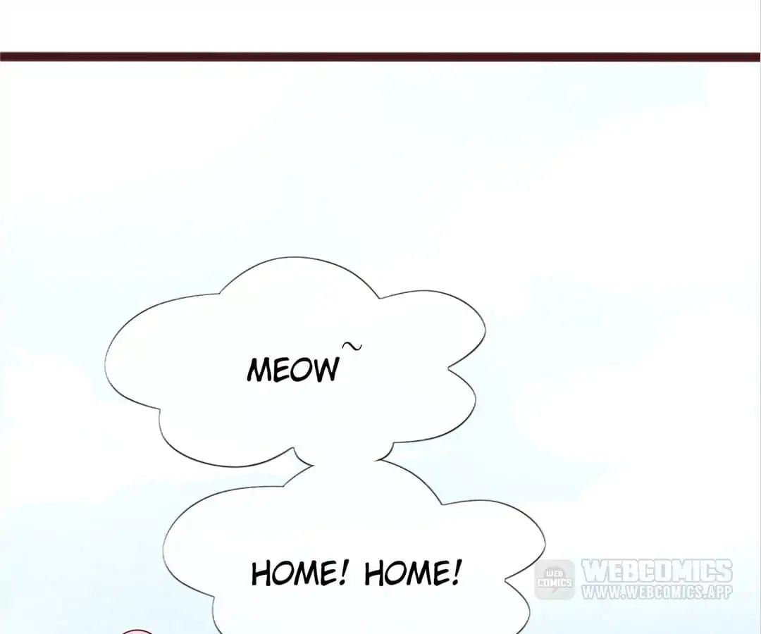 Page 107 of Chapter 4