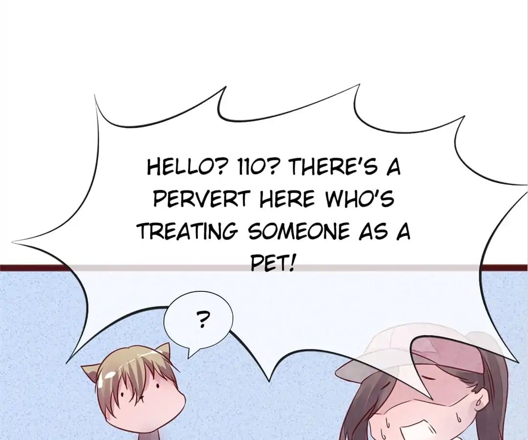 Page 81 of Chapter 4