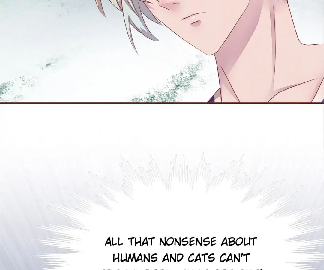 Page 36 of Chapter 47