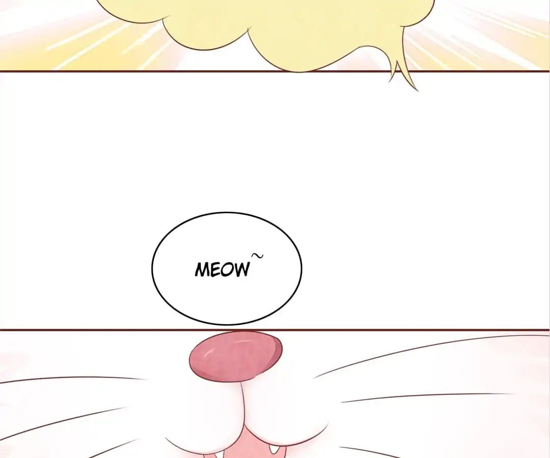 Page 72 of Chapter 47