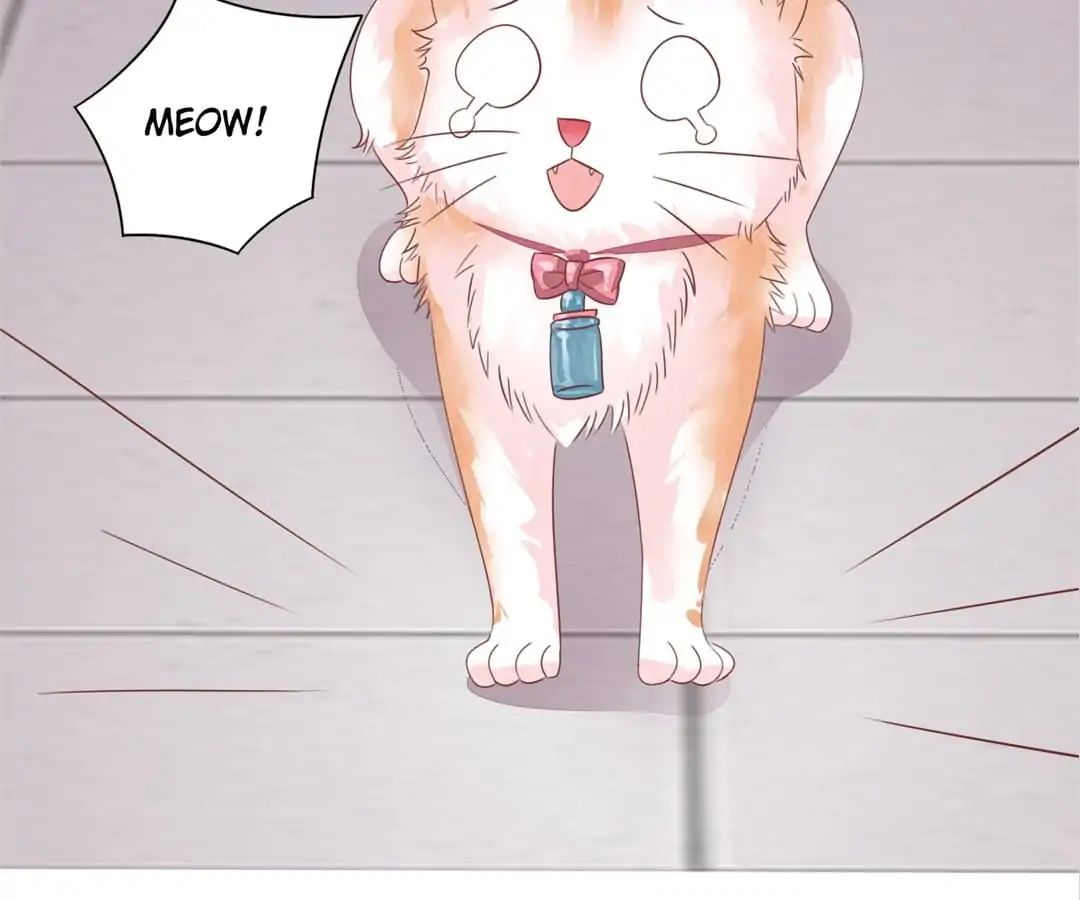Page 5 of Chapter 48