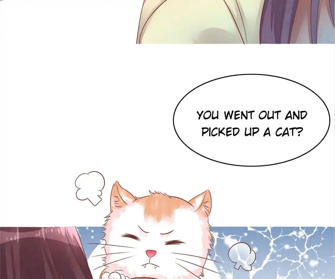 Page 20 of Chapter 48