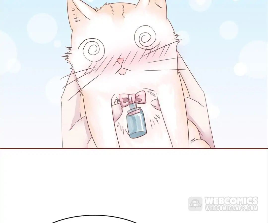 Page 38 of Chapter 48