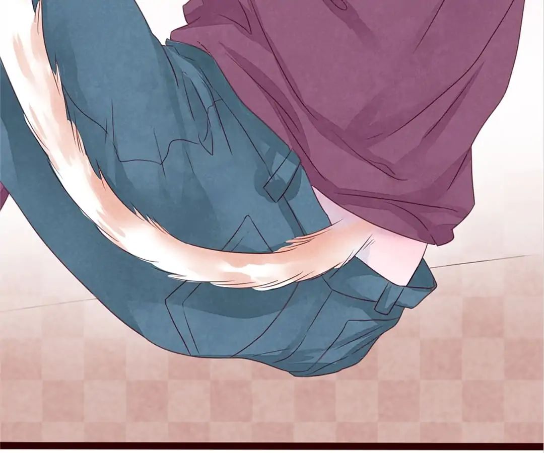 Page 104 of Chapter 5