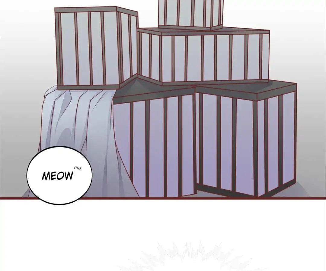 Page 13 of Chapter 50