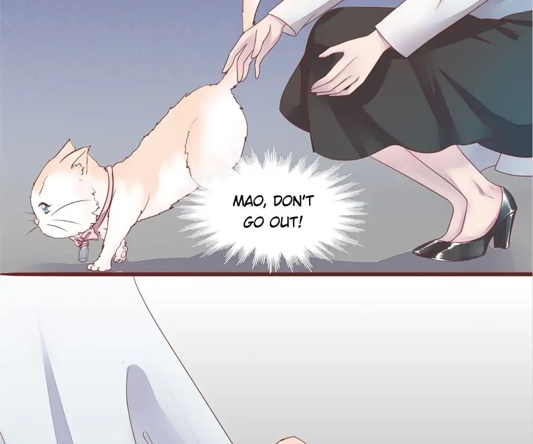 Page 40 of Chapter 50