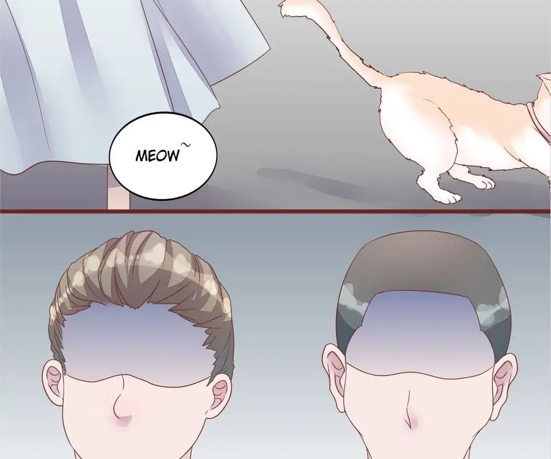 Page 41 of Chapter 50