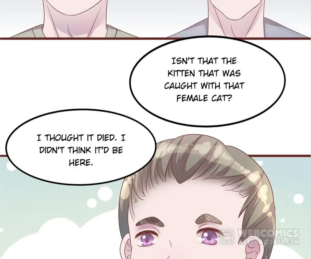Page 42 of Chapter 50