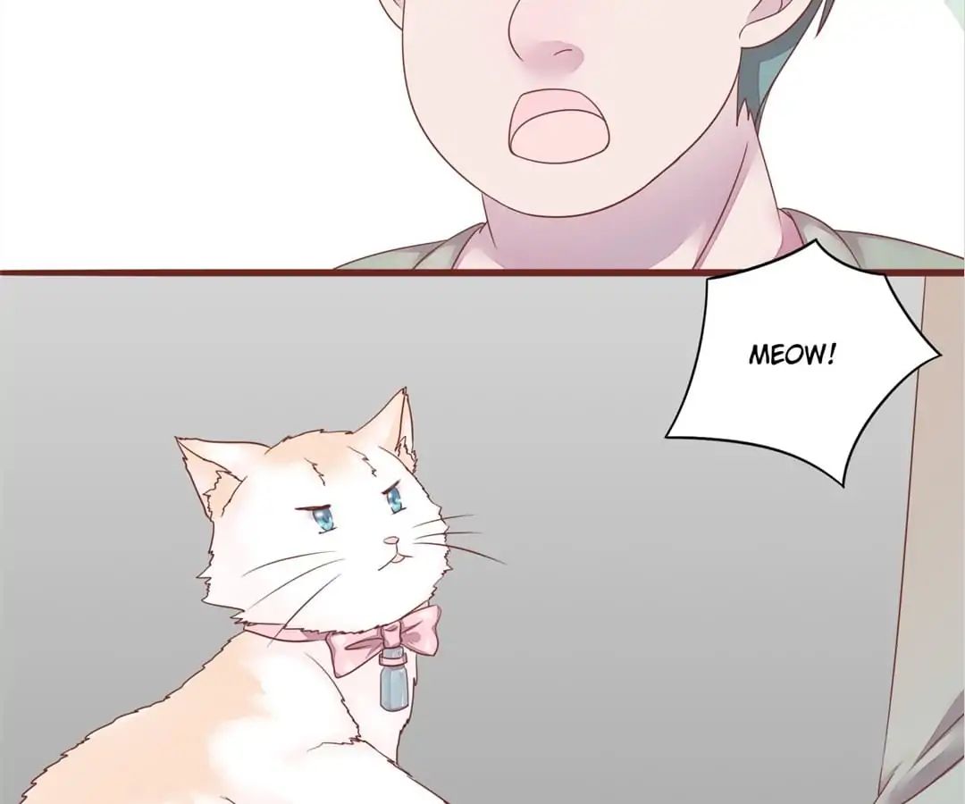 Page 43 of Chapter 50