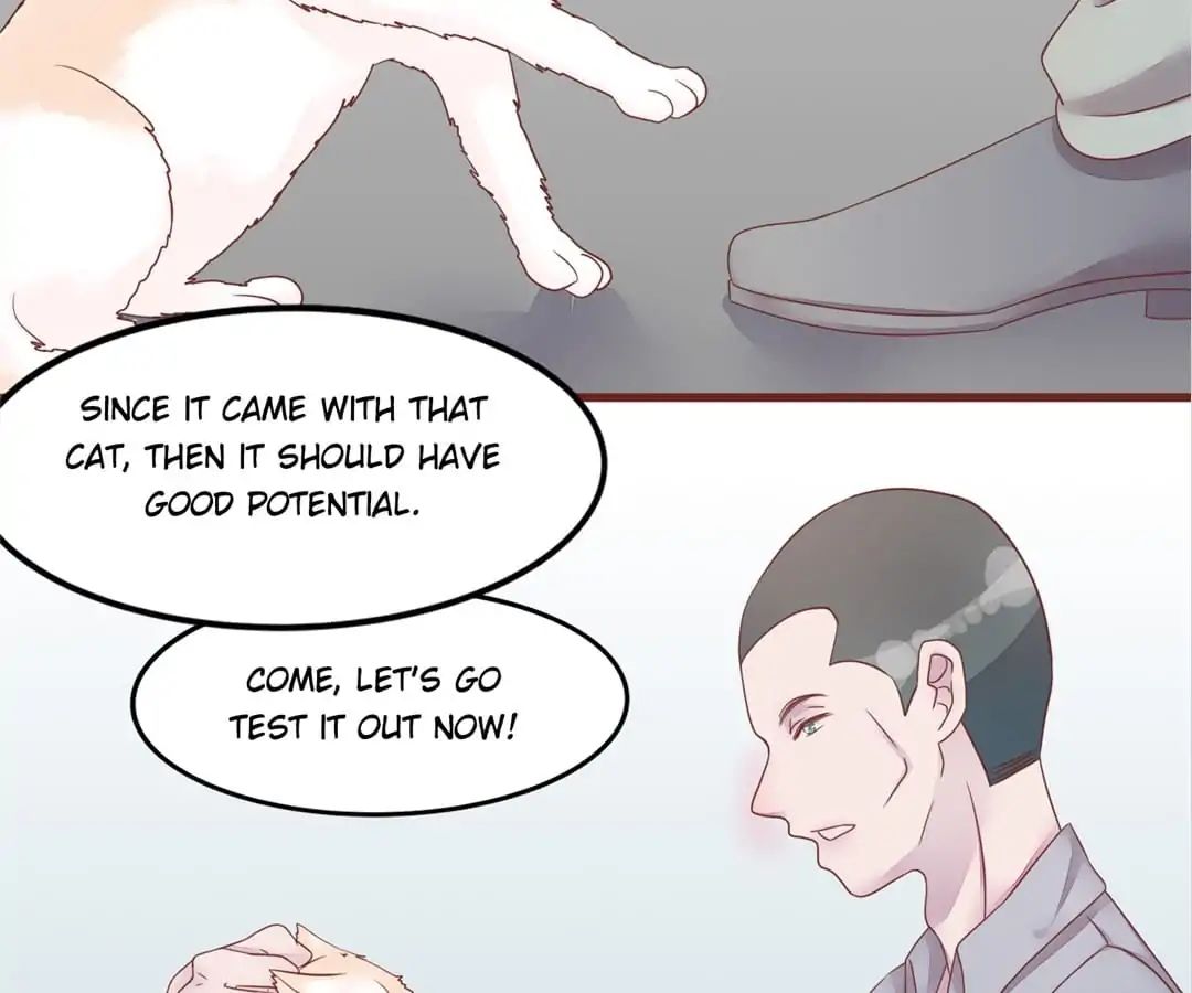 Page 44 of Chapter 50