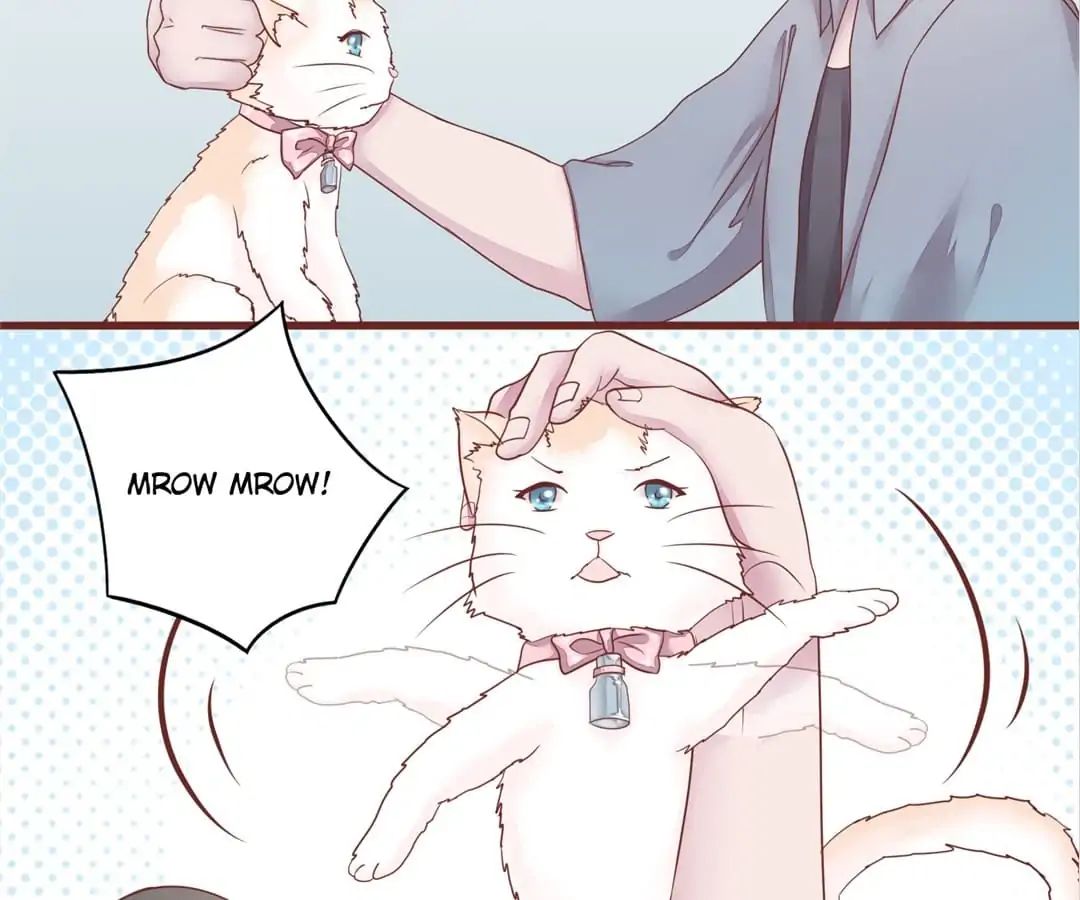 Page 45 of Chapter 50