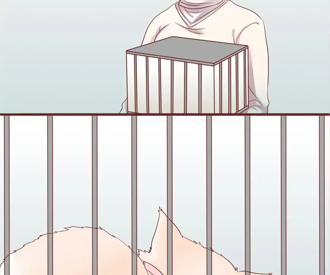 Page 36 of Chapter 52