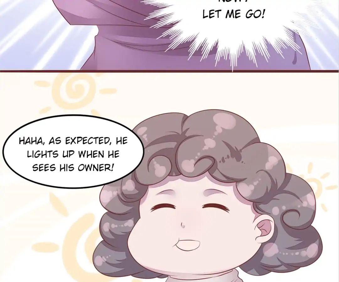 Page 41 of Chapter 52
