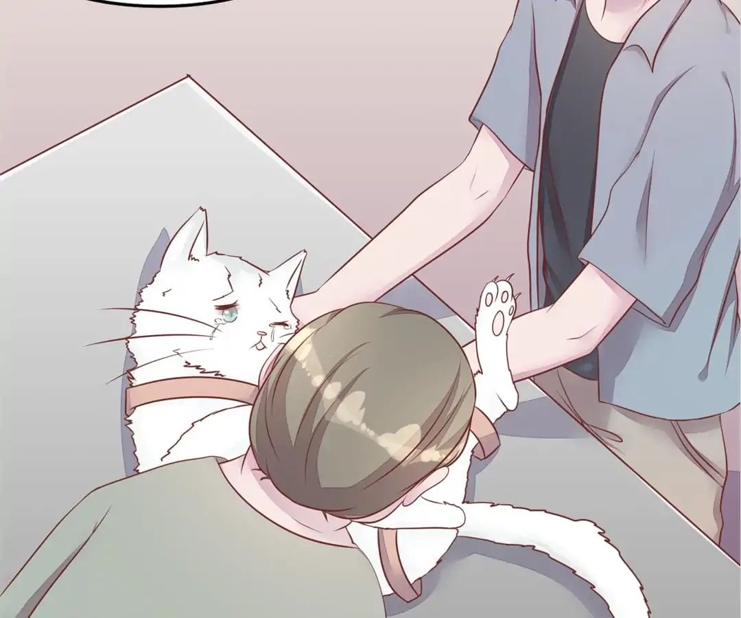 Page 56 of Chapter 54