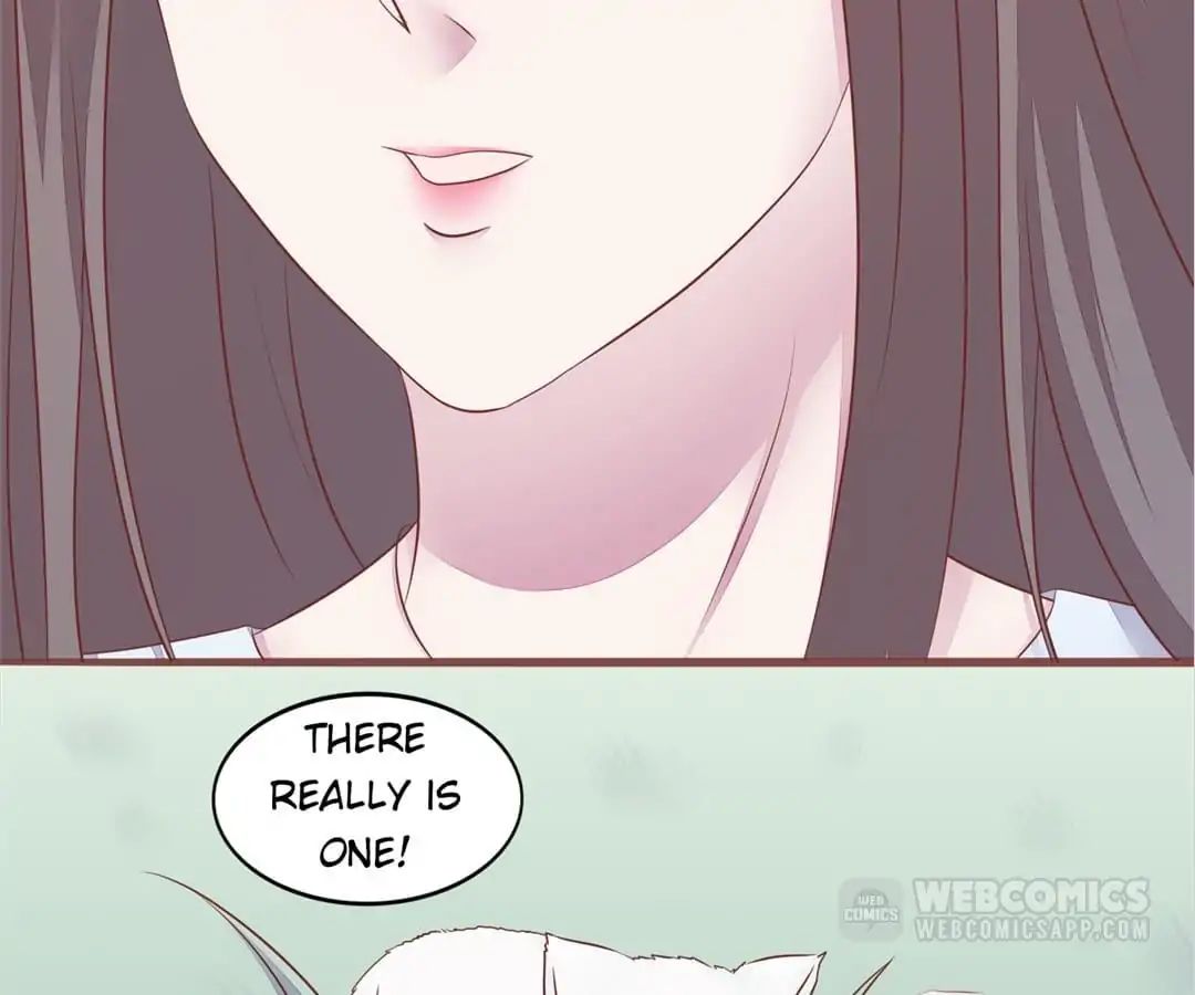 Page 6 of Chapter 56