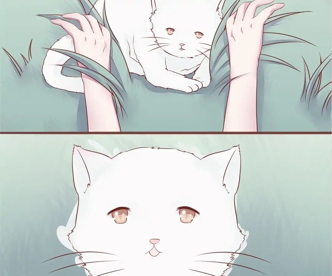Page 7 of Chapter 56
