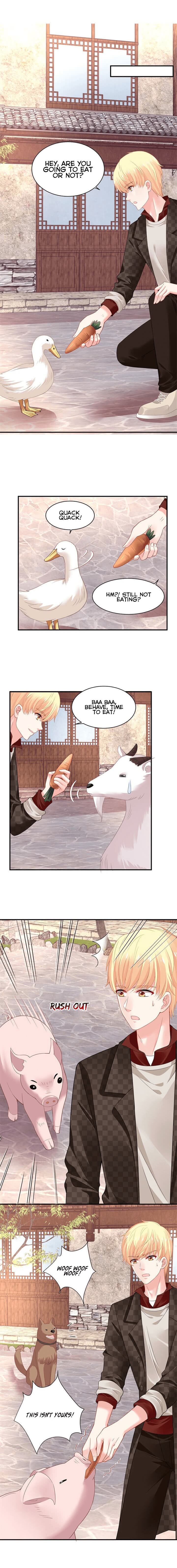 Page 8 of Chapter 41