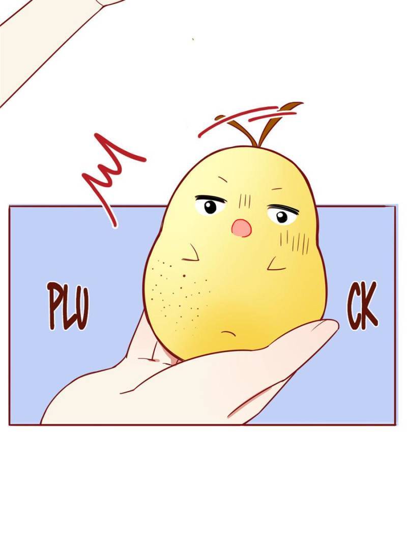 Page 13 of Chapter 120