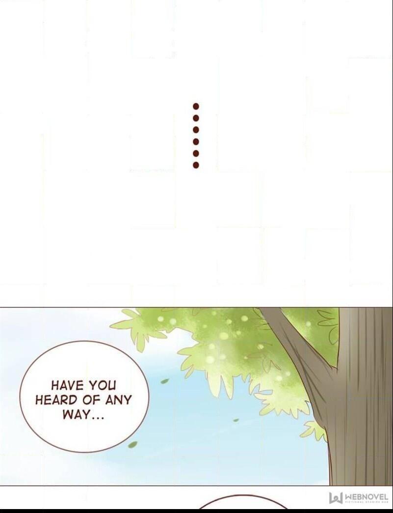 Page 19 of Chapter 13