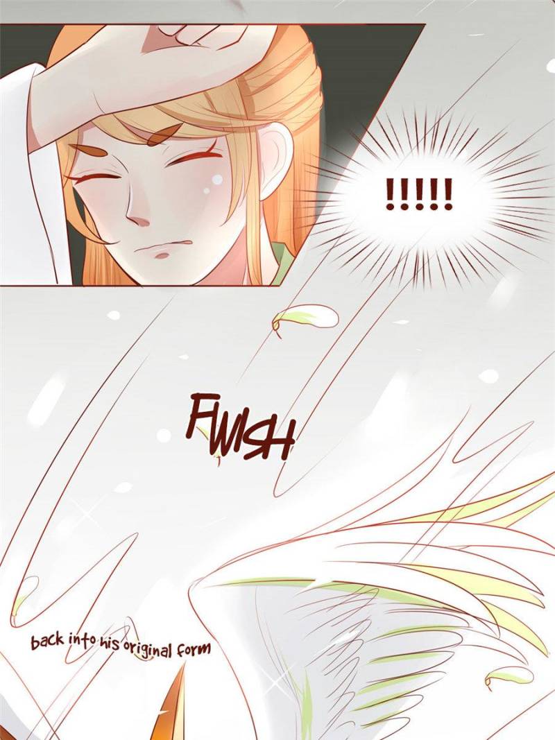 Page 21 of Chapter 40