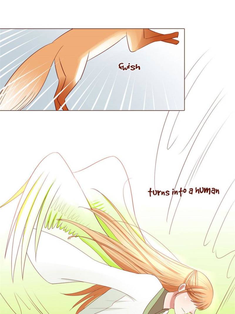 Page 3 of Chapter 41