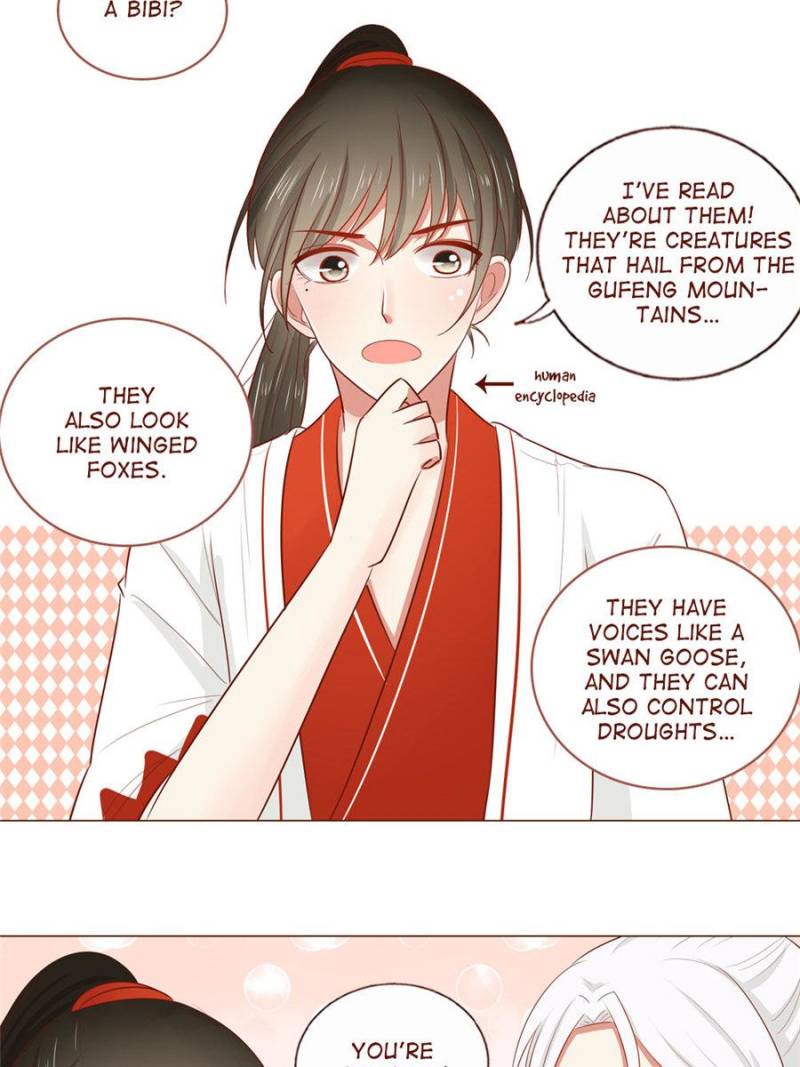 Page 6 of Chapter 41