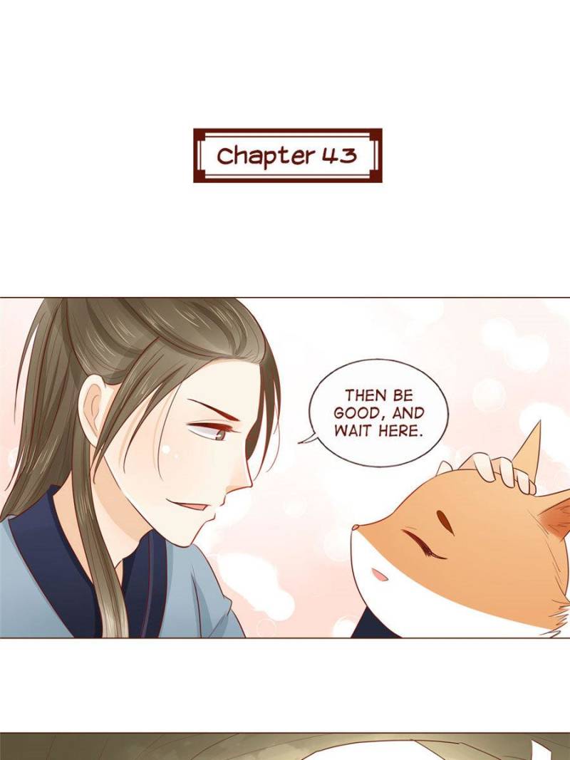 Page 1 of Chapter 43
