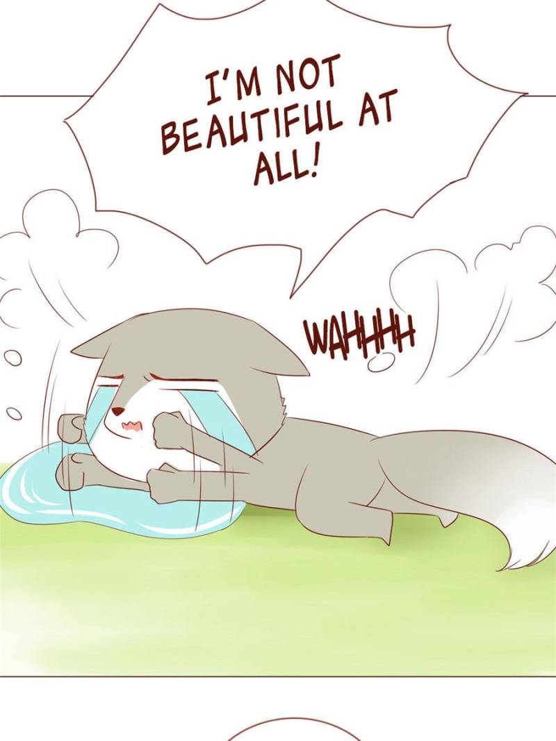 Page 13 of Chapter 51