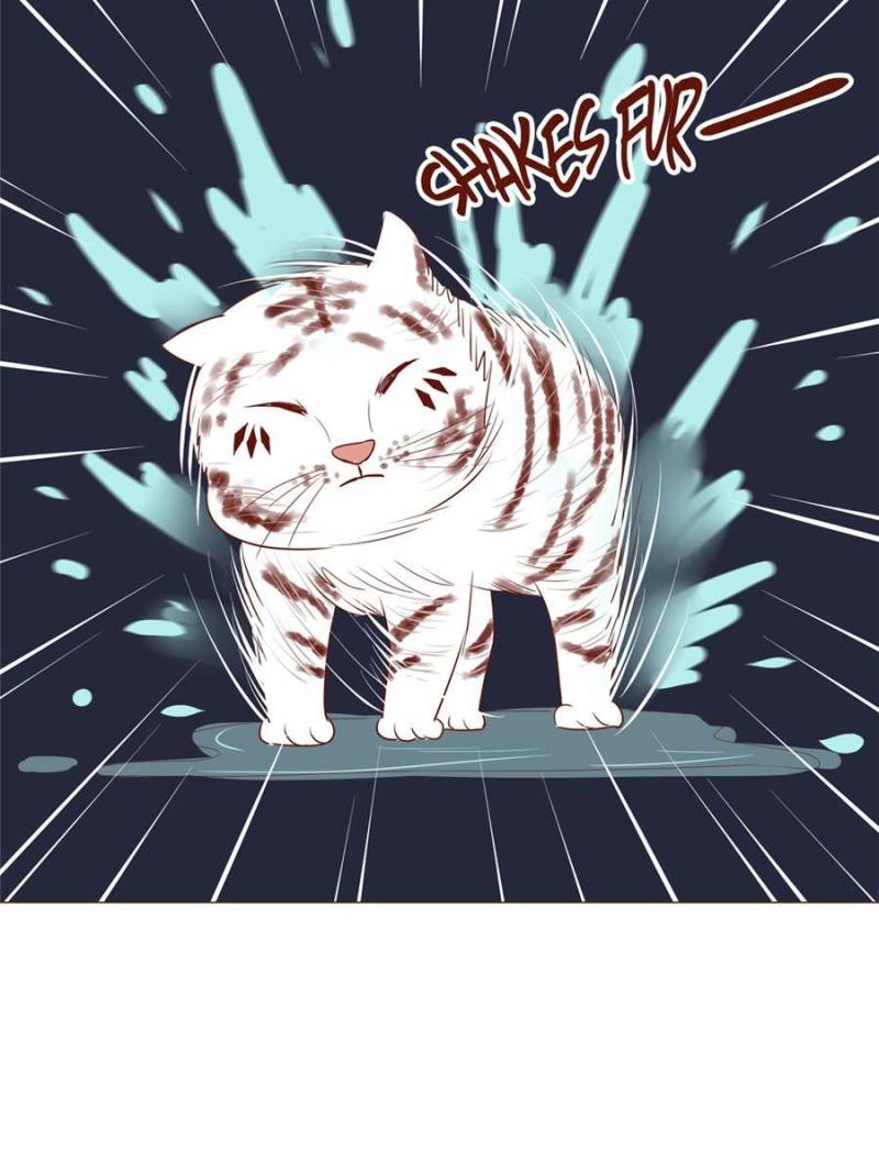 Page 17 of Chapter 80