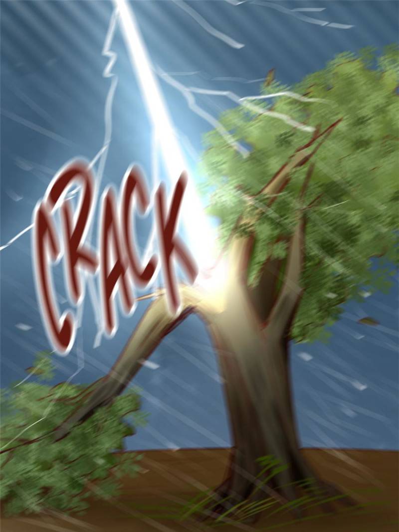 Page 13 of Chapter 94