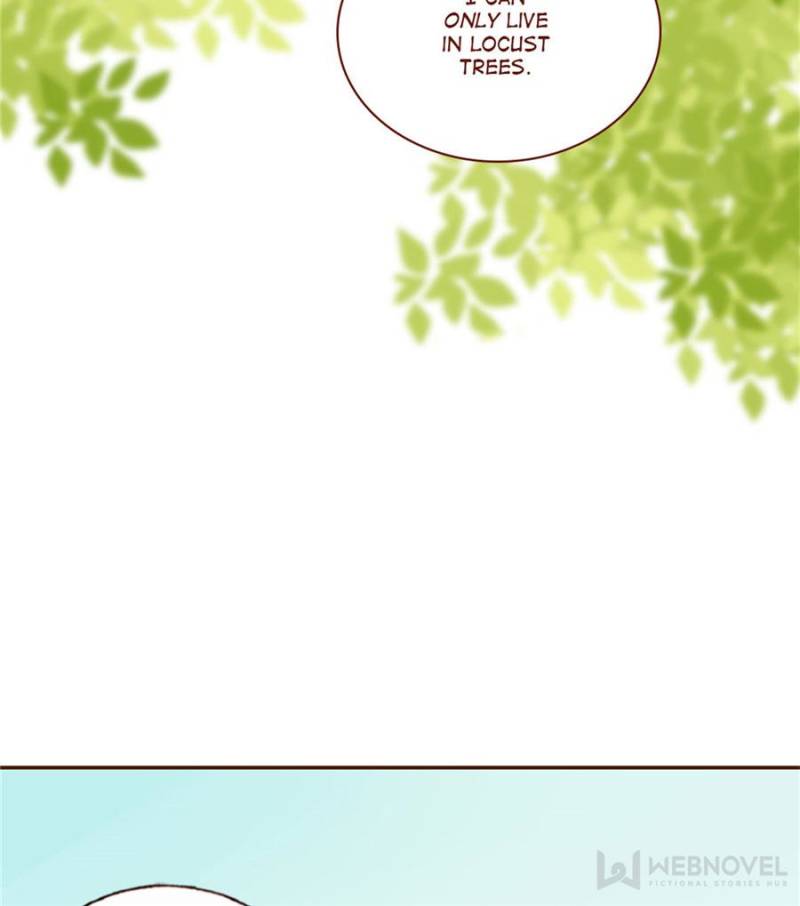 Page 12 of Chapter 95