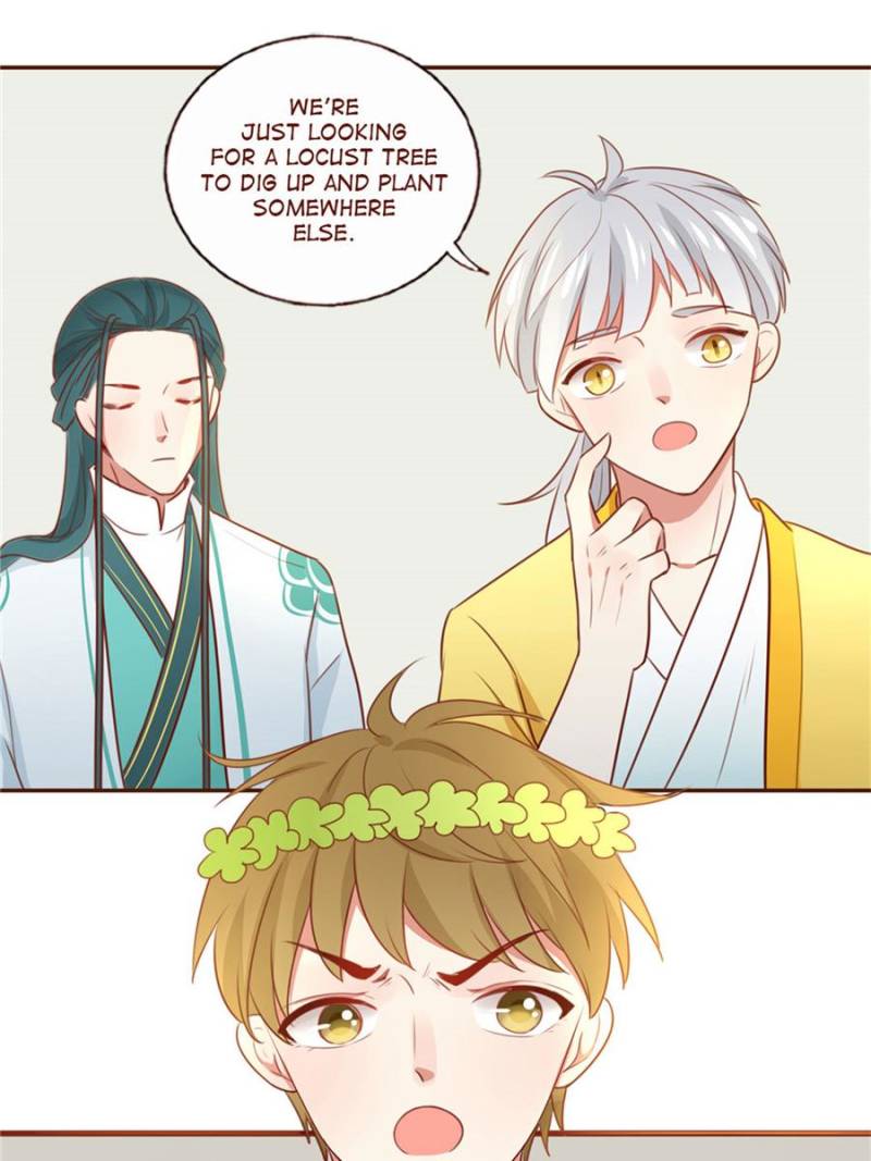 Page 13 of Chapter 96