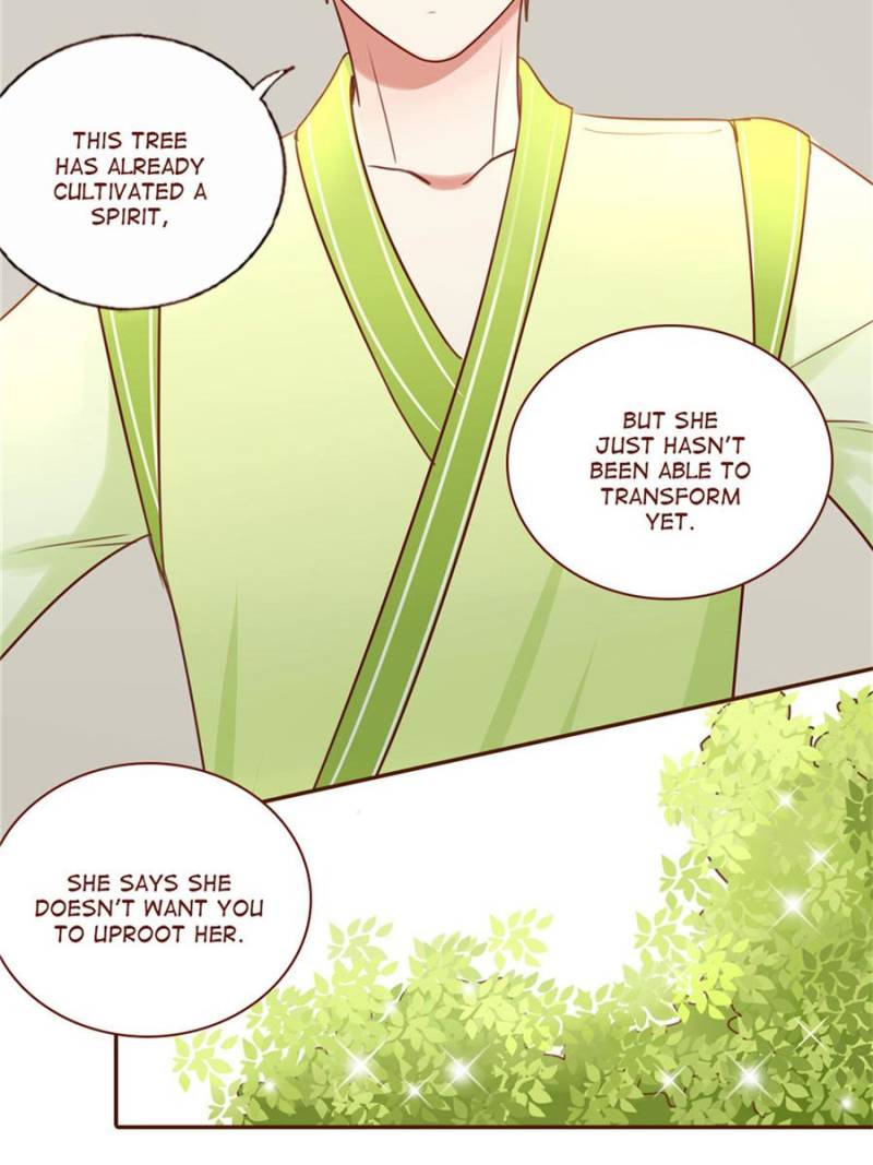 Page 14 of Chapter 96