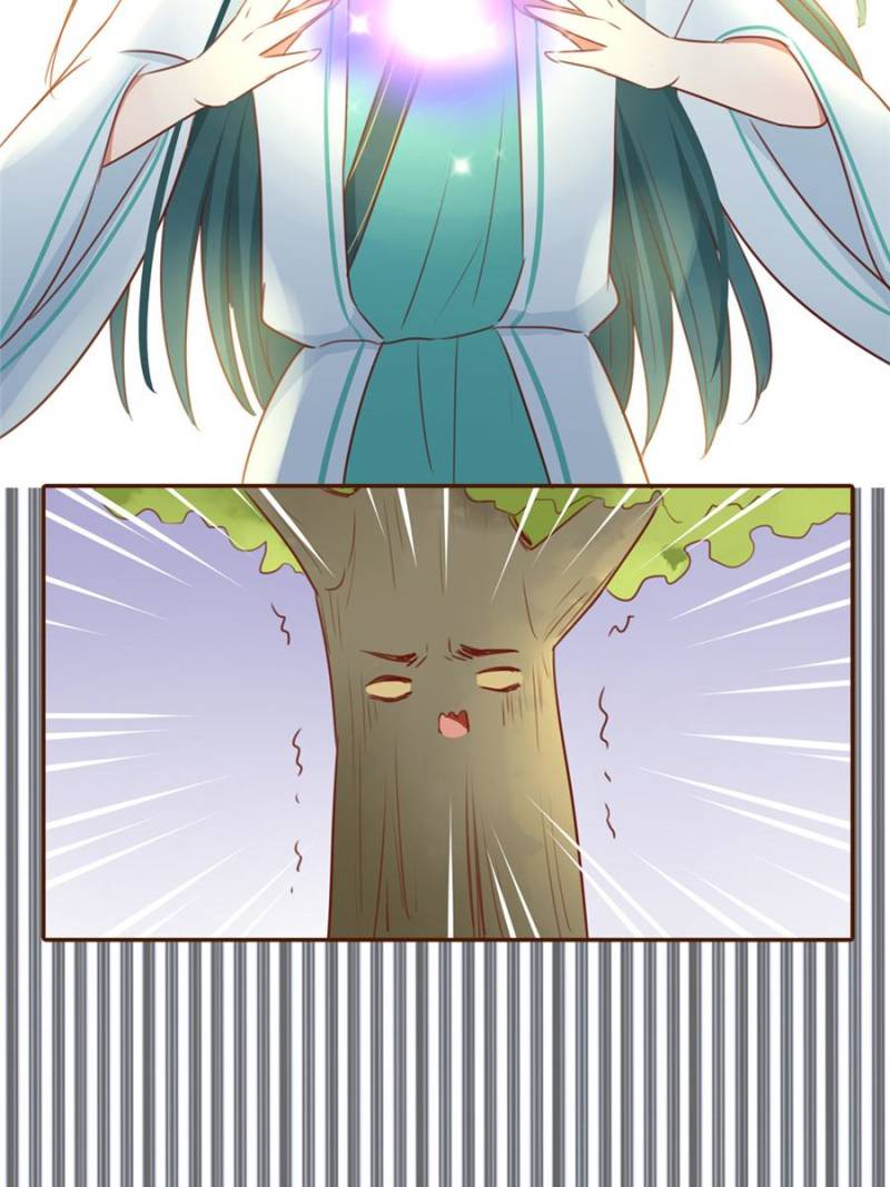 Page 11 of Chapter 97
