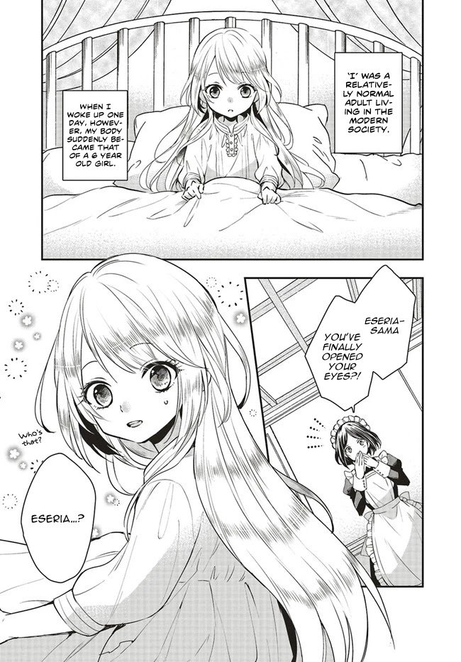 Page 3 of Chapter 1.1