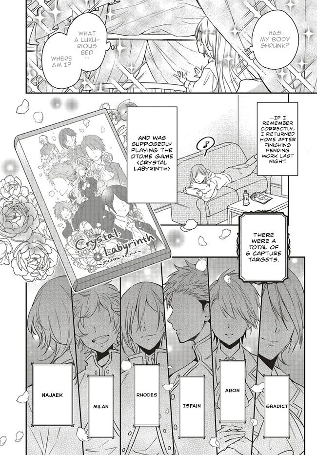 Page 4 of Chapter 1.1