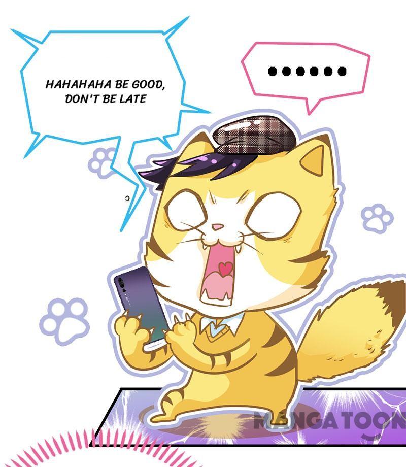 Page 25 of Chapter 11