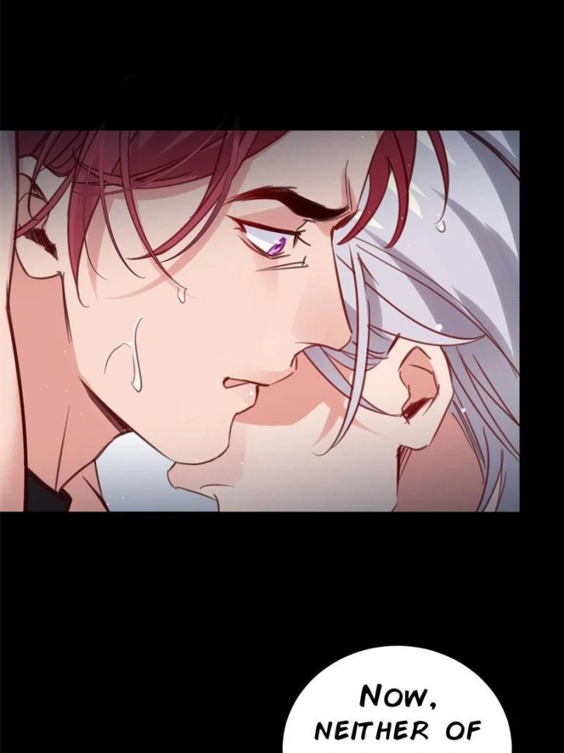 Page 41 of Chapter 113