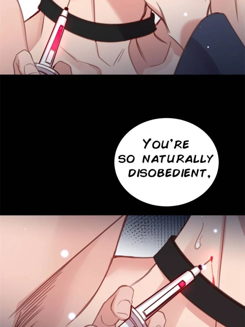 Page 24 of Chapter 114