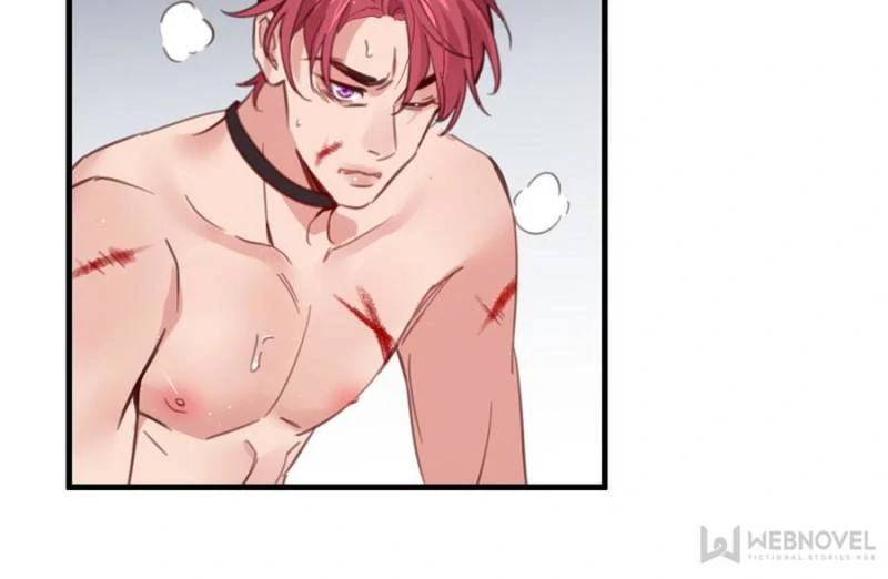 Page 33 of Chapter 116