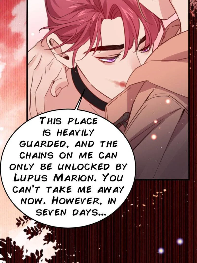 Page 29 of Chapter 117