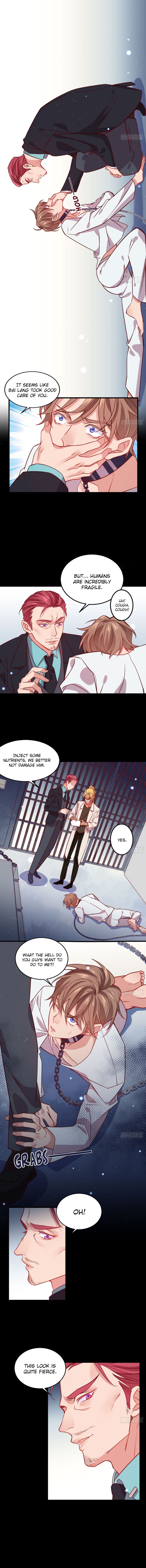 Page 4 of Chapter 31