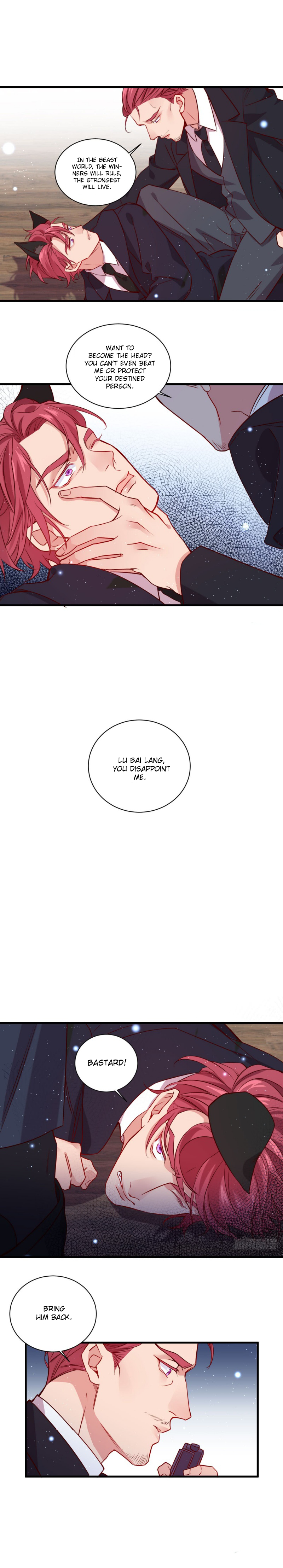 Page 5 of Chapter 33