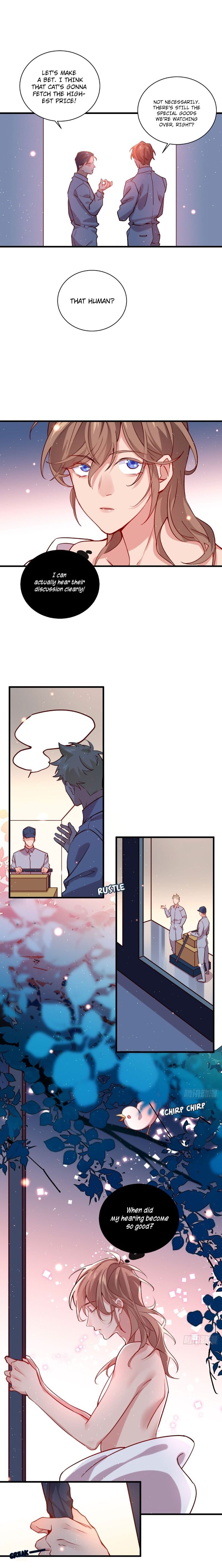 Page 3 of Chapter 37