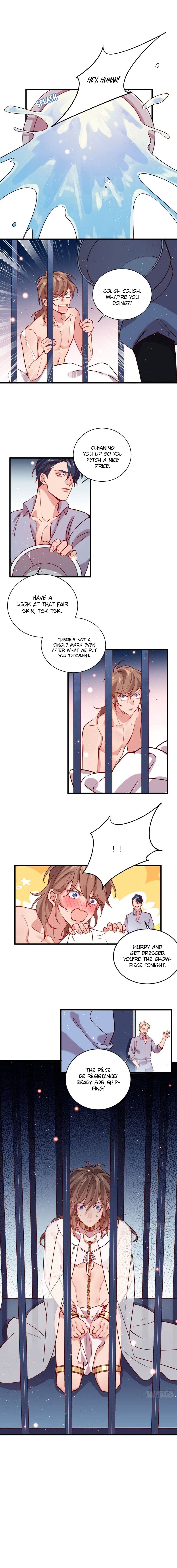 Page 5 of Chapter 37