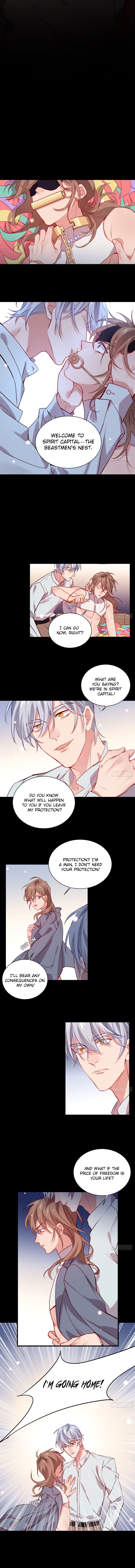 Page 3 of Chapter 41