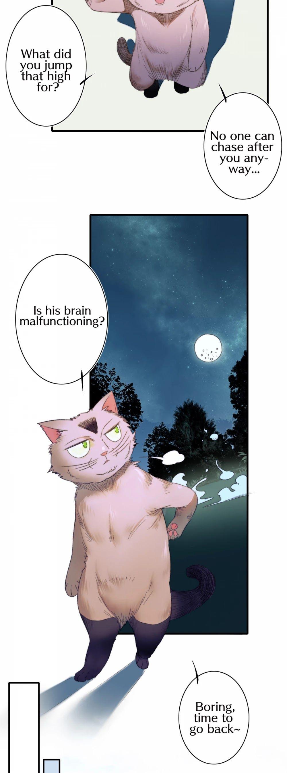 Page 14 of Chapter 53