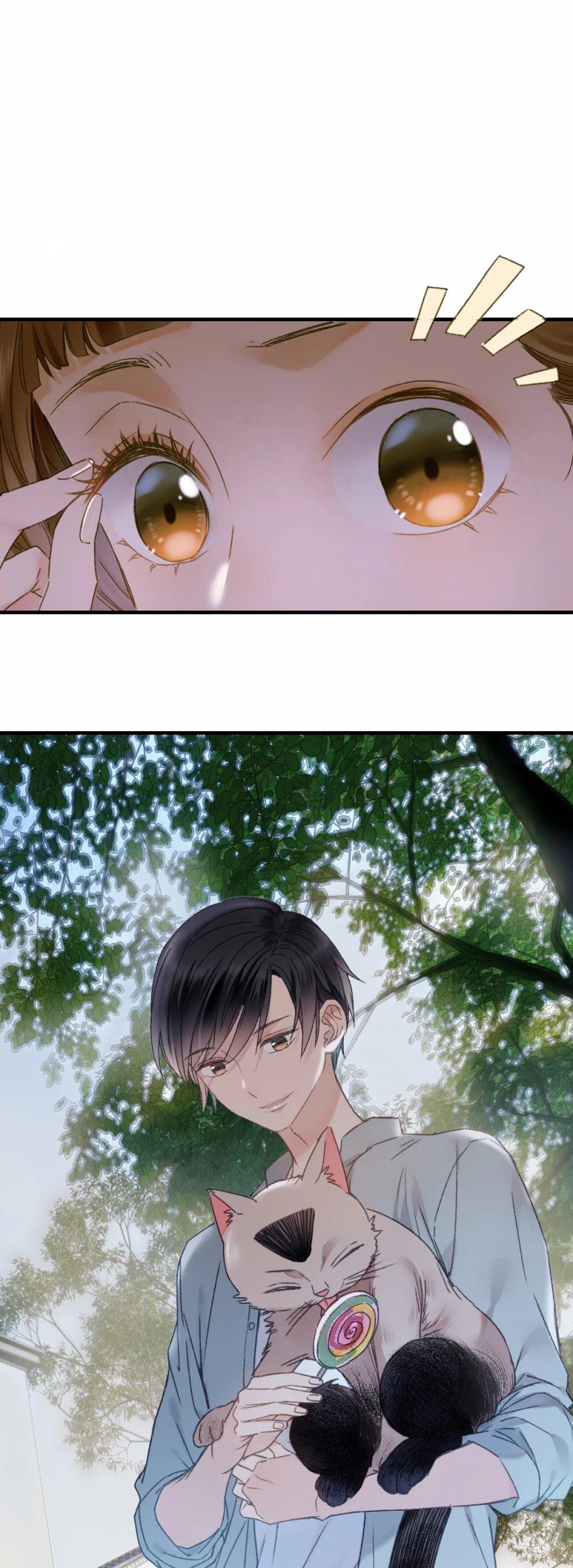 Page 21 of Chapter 53