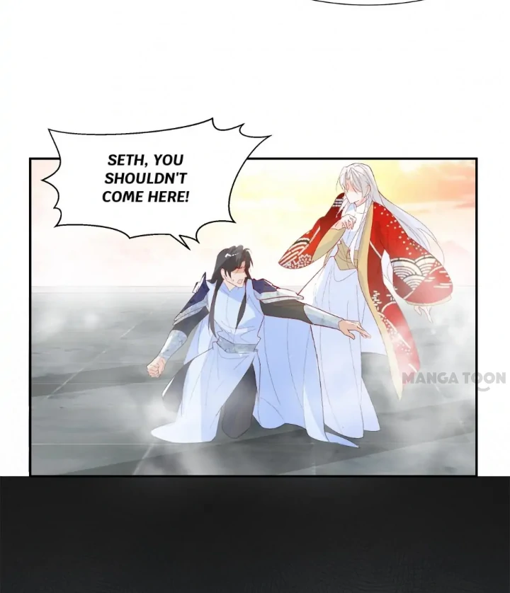 Page 21 of Chapter 114